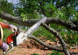 Best Landscape Design and Installation  in Munford, TN